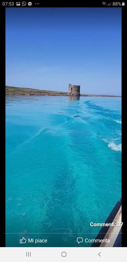 Casetta Sul Porticciolo * Stintino
